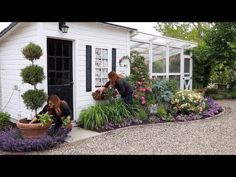 Almost Done with our Annual Planting Projects: Landscape, Pots & Window Boxes!