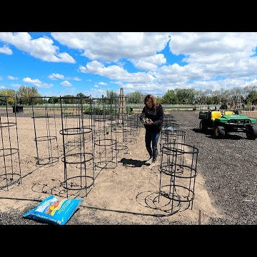 Planting 30 Varieties of Tomatoes & 10 Varieties Peppers!