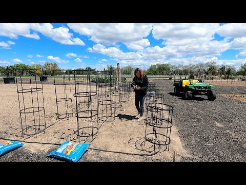 Planting 30 Varieties of Tomatoes & 10 Varieties Peppers!