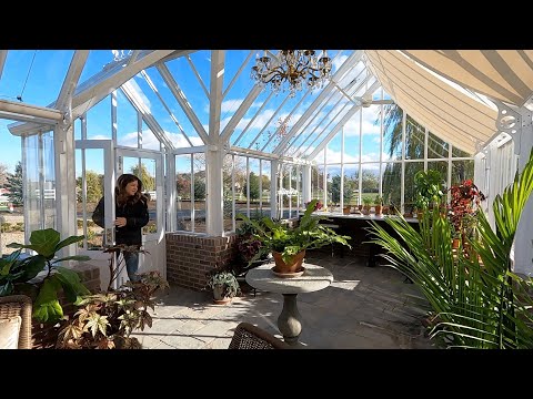 Planting Daffodils, Iris Reticulata & Alliums!