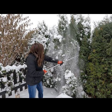 Removing Snow from Evergreens & Planting Hyacinth Bulbs in Pots!