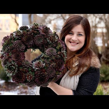 DIY Hardy Succulent Wreath!