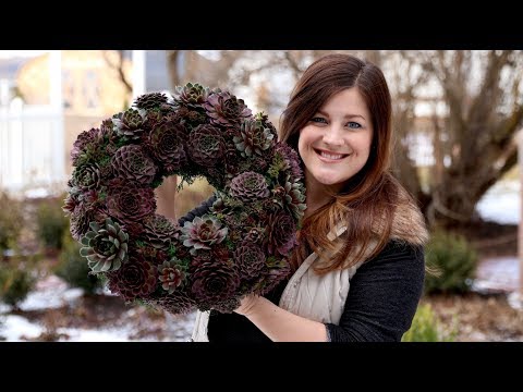DIY Hardy Succulent Wreath!