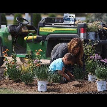 Planting 4 Varieties of Low Maintenance Perennials!