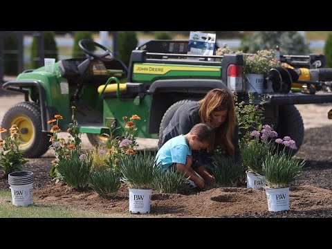 Planting 4 Varieties of Low Maintenance Perennials!