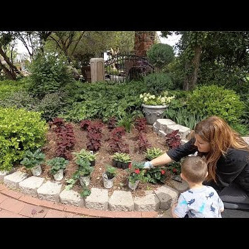 Getting a Few Garden Projects Done!