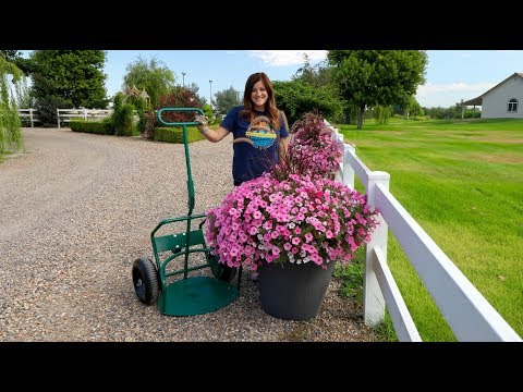 Potwheelz Unboxing & Impressions