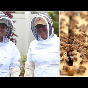 Backyard Beekeeping