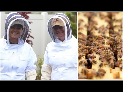 Backyard Beekeeping