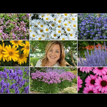 10 Perennials That Look GREAT in the HEAT!