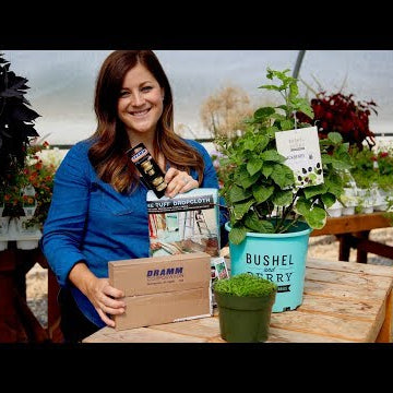 Mail Time | Berries | Fairy Gardens | Hose Quick Connect