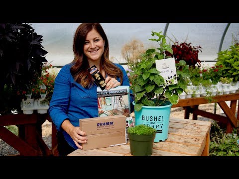 Mail Time | Berries | Fairy Gardens | Hose Quick Connect