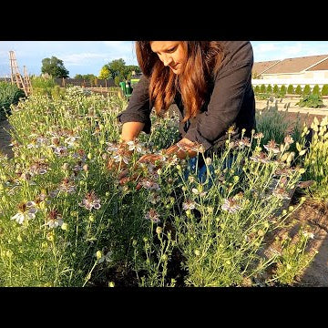 New Garden Stuff + Seed Unboxing + Flower Arrangement!
