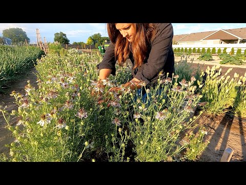 New Garden Stuff + Seed Unboxing + Flower Arrangement!