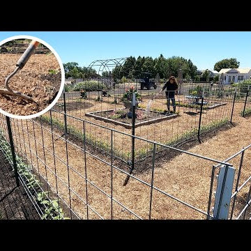 New Garden Update: Weeding, Thinning Seedlings, & Planting!