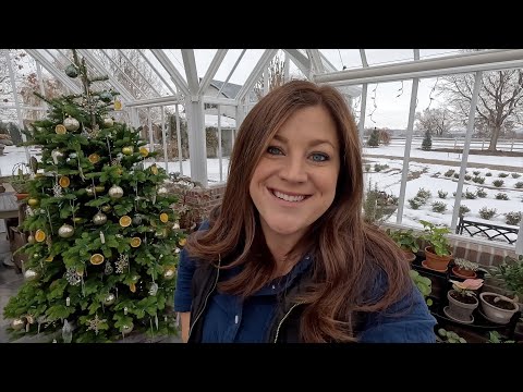 Fertilizing the Plants in the Hartley (+ Houseplant & Seed Unboxing)!