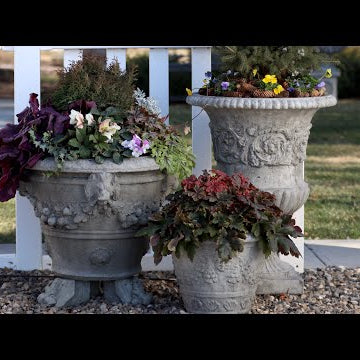 Tough Plants for Early Spring Containers!