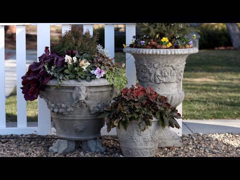 Tough Plants for Early Spring Containers!