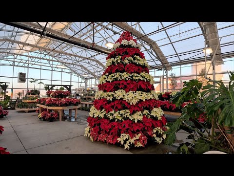 Christmas Shopping with My Mom & Monica!
