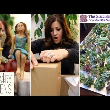 Mail Time: Fairies and Succulents