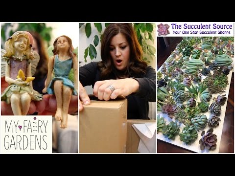 Mail Time: Fairies and Succulents