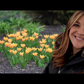 Exciting Windy Weeding Day!  (+Mini Bulb Tour!)