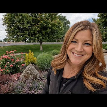 Several Landscape & Container Project Updates!