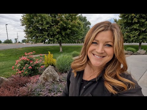 Several Landscape & Container Project Updates!