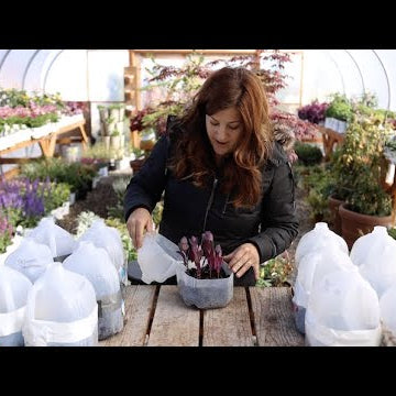 Winter Sowing & Seed Planting Update!