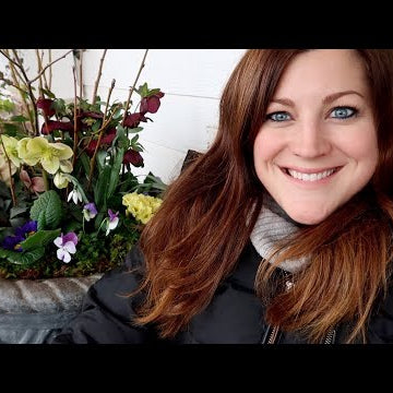 New Spring Plants (Hellebores & more!) + Planting Containers!