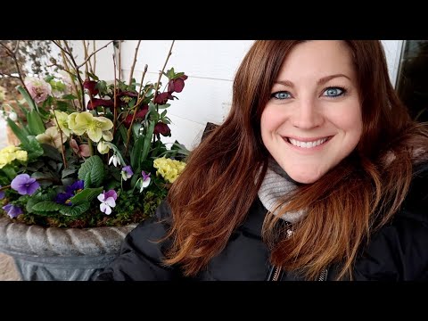 New Spring Plants (Hellebores & more!) + Planting Containers!