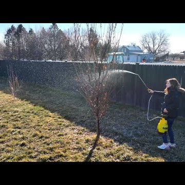 Spraying Fruit Trees & Potting Cacti!