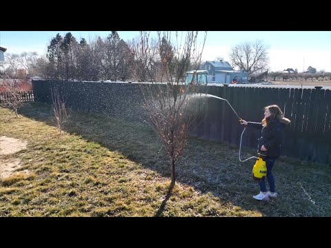 Spraying Fruit Trees & Potting Cacti!