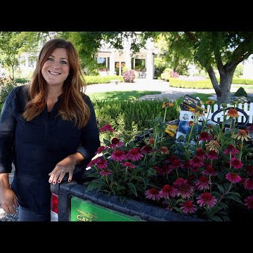 Planting 5 Varieties of Echinacea!