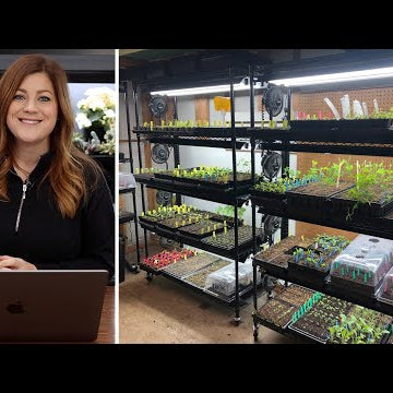 Looking at 20 Great Seed Starting Set-Ups!