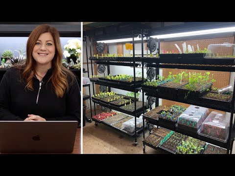 Looking at 20 Great Seed Starting Set-Ups!