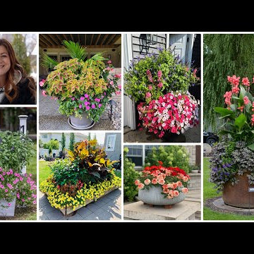 Looking at YOUR Amazing Containers (Part 2)!