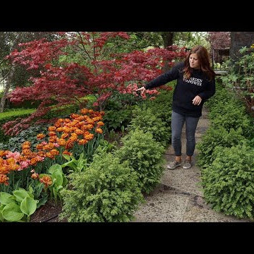 Tour of My Parent’s Garden May 2020!