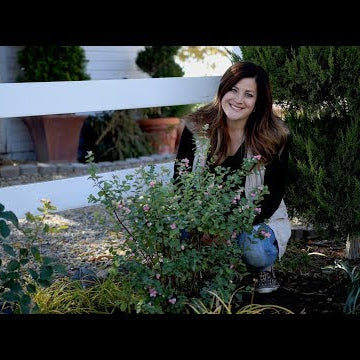 Planting Proud Berry Coral Berry