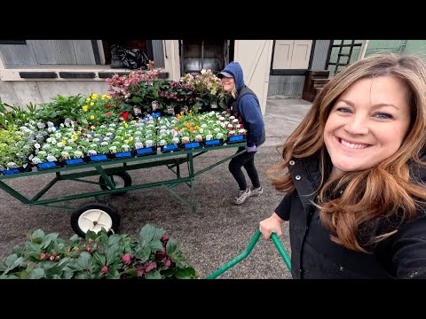 First Load of Spring Color at the Garden Center + Helping Display New Pottery!