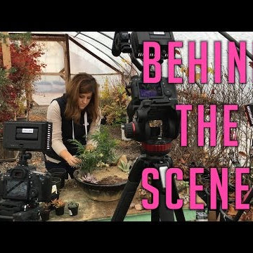 Nativity Fairy Garden - Behind the Scenes