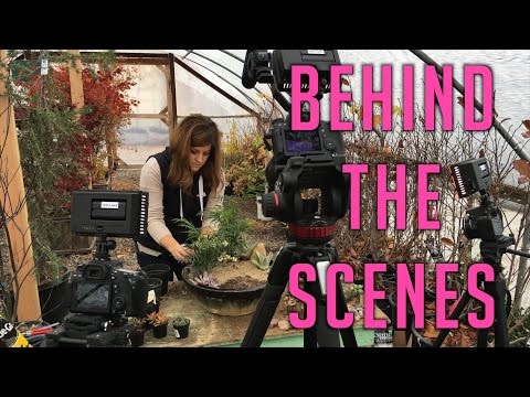 Nativity Fairy Garden - Behind the Scenes