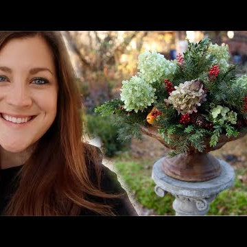 Planting Hyacinths and Amaryllis