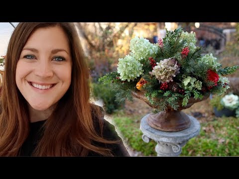 Planting Hyacinths and Amaryllis