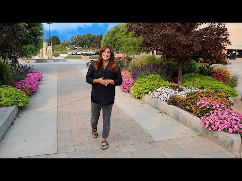 Final Tour of the Annuals We Planted At Our Local Community College!