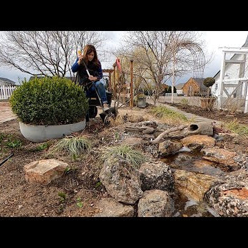 Micro greens + Transplanting Larger Shrubs & Trees!