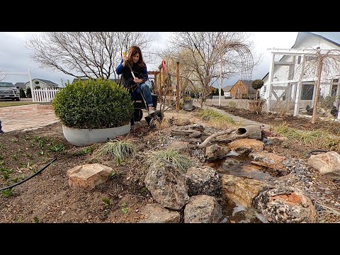 Micro greens + Transplanting Larger Shrubs & Trees!