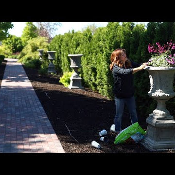 Planting a Gorgeous Full Sun Container Arrangement!
