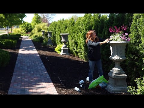 Planting a Gorgeous Full Sun Container Arrangement!