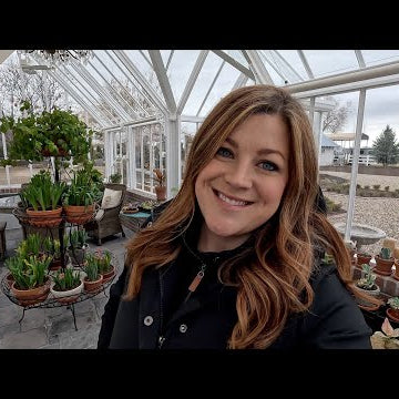 Potting Up Geranium & Lettuce Seedlings + Seedling Tour!